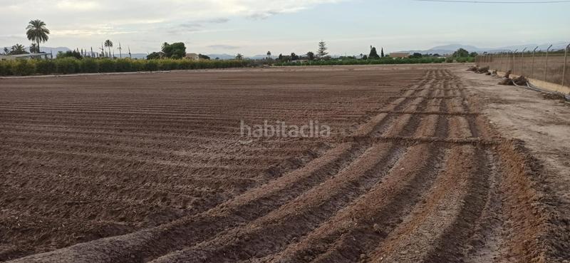 Foto b6742117-8bac-4ce7-97a3-1be2fba6f8c3. Haus mit heizung in La Foia - Daimés - Asprella Elche / Elx