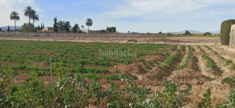 Foto c1622637-83c7-4740-b2a3-c5e85ce9dda5. Casa amb calefacció a La Foia - Daimés - Asprella Elche / Elx