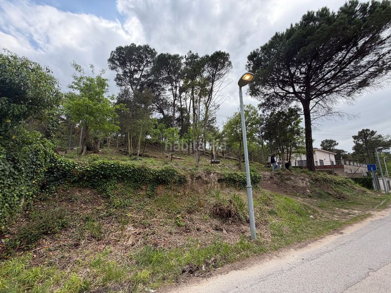 Foto 2a355d29-3b57-42b6-b2f5-e66f3765ebe5. Pis a Lloret Blau - La Creu de Lloret Lloret de Mar