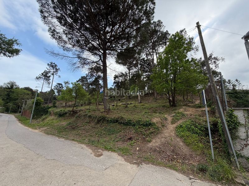 Foto 3f917784-c10f-4aee-a172-490a444d5225. Pis a Lloret Blau - La Creu de Lloret Lloret de Mar