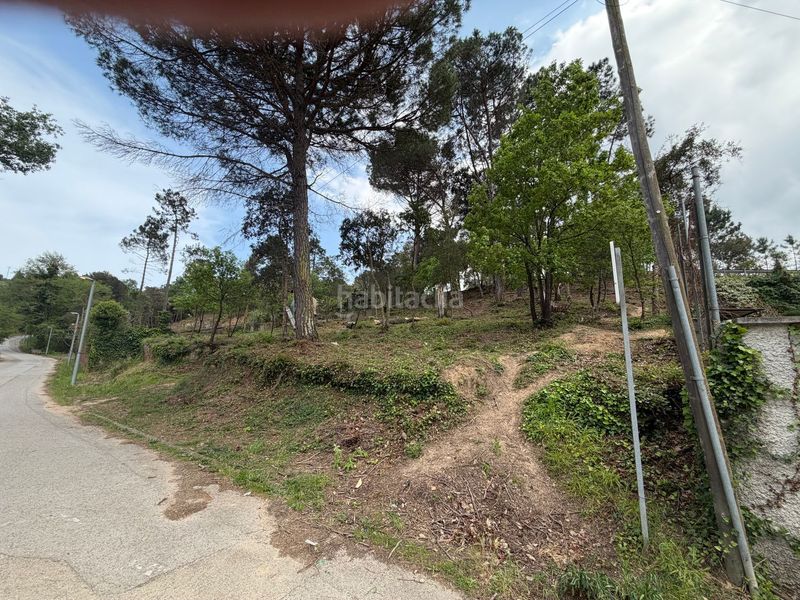 Foto f1f53540-c58e-41d0-8116-69e95b66c26e. Pis a Lloret Blau - La Creu de Lloret Lloret de Mar