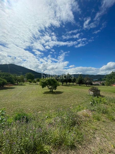 Foto 9474611a-6e40-486c-9deb-d9ed9e759501. Pis a Ribadavia