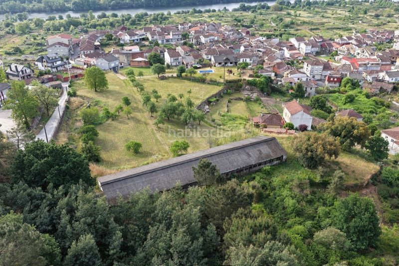 Foto c104824f-aded-4314-9aa7-751a756b664d. Pis a Ribadavia