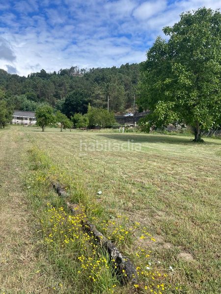 Foto c1b58a64-e9a5-42ae-b215-1df28c54763d. Pis a Ribadavia
