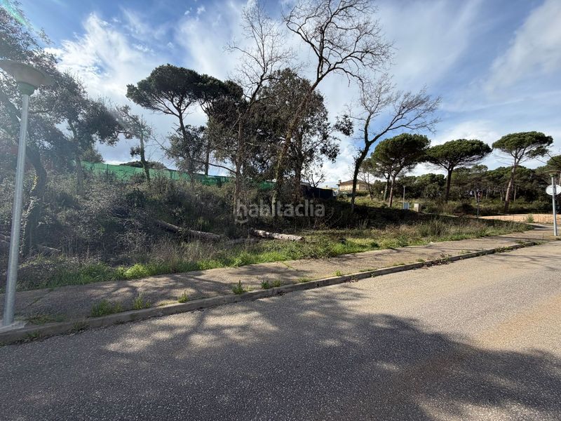 Foto aafe4c88-ea9e-4f0e-b65b-f6ec4c79383a. Pis a La Goba Vidreres