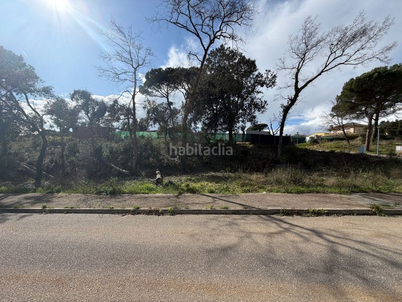 Foto d9899b6b-2fba-4b90-8a9c-b652215c8242. Pis a La Goba Vidreres