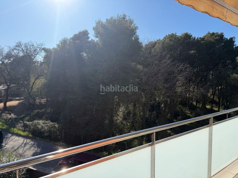 Foto 79ce4e66-5b98-4bc1-8ff0-1098ddb89b70. Pis a La plantera Blanes