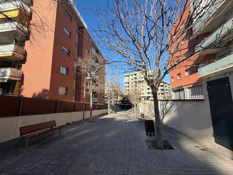 Foto d20a2487-e890-49aa-9b46-b96dd8f569c3. Pis a La plantera Blanes