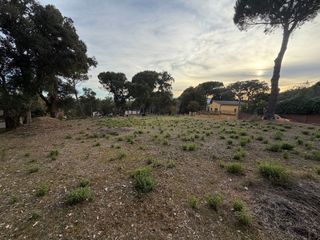 Appartamento in Massanes