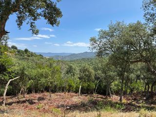 Flat in Llagostera