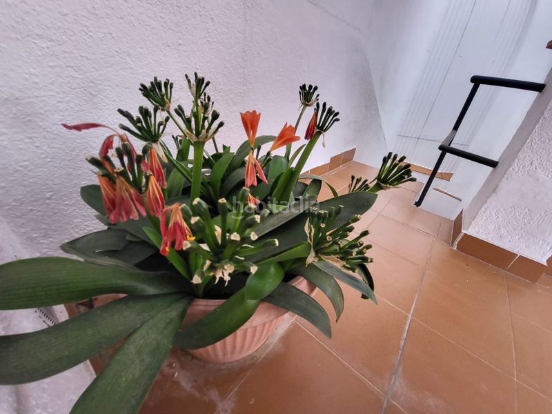 Foto f315553b-0f67-4402-9897-28984d61802d. Chalet en Eixample Sant Feliu de Guíxols