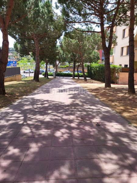 Foto 1c534065-df93-473f-bf42-f3163fb19197. Pis a avenida de fenals 18 a Santa Clotilde Lloret de Mar