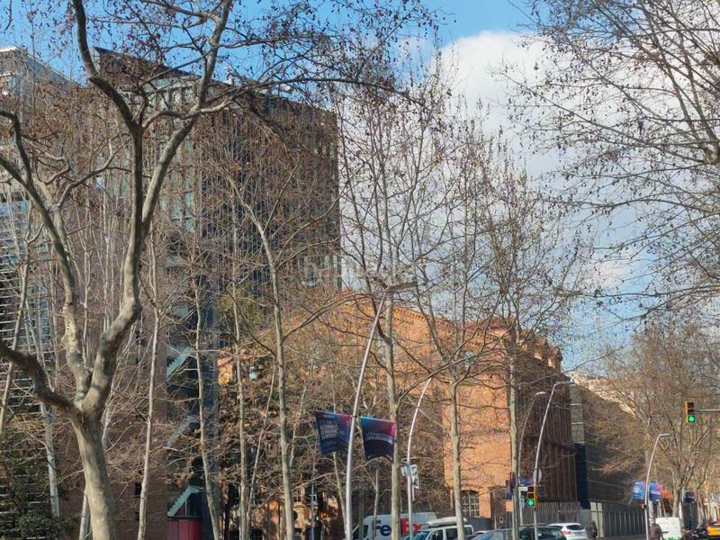 Foto 4e652b61-80df-4297-a29f-d876c71d3dea. Umzug geschäftsraum mit heizung in La Vila Olímpica del Poblenou Barcelona