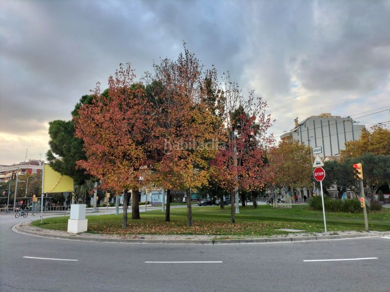 Foto b1b874c8-6e56-4710-8f7d-363299e41d5b. Lloguer nau industrial a Centre Esplugues de Llobregat