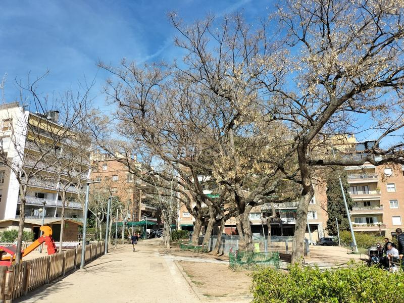 Foto 907a2bae-280c-4018-a8bf-9b2bce29101d. Pas-de-porte local commercial dans Sant Gervasi - Bonanova Barcelona