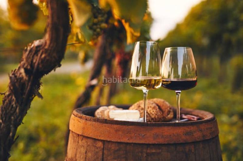 Foto 03060792-ef39-47be-9118-edf7053c3f08. Traspaso local comercial traspaso bar-taberna ubicación privilegiada terraza en Terrassa