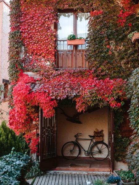 Foto af7e4ef9-e15e-4e2b-96e7-ce8a41f1c048. Piccolo appartamento in Gargantilla del Lozoya