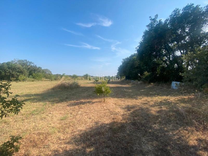 Foto 023d783f-9a23-457b-a5a1-ed72fa9c3ce2. Finca rústica venta terreno en Carretera de Roses-Fossos Figueres