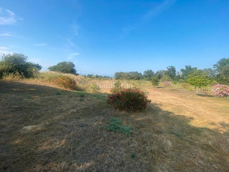 Foto 37034711-60a0-44b0-bfc7-23eda5e3d1e1. Finca rústica venta terreno en Carretera de Roses-Fossos Figueres