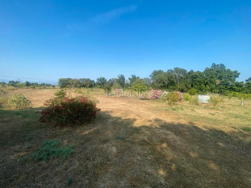 Foto aa252185-5595-4163-bddb-8259c425ba6e. Finca rústica venta terreno en Carretera de Roses-Fossos Figueres