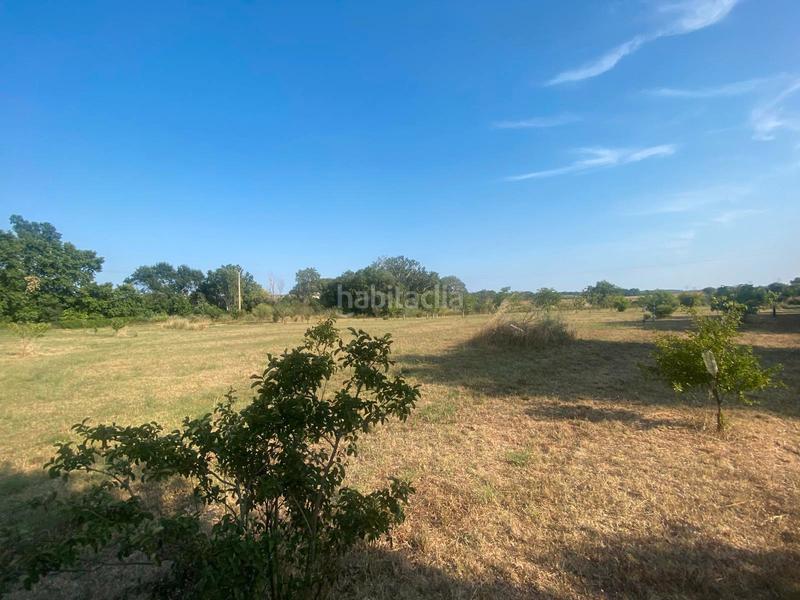 Foto c854e972-7de6-4cc2-8f27-bf622e9e5d20. Finca rústica venta terreno en Carretera de Roses-Fossos Figueres