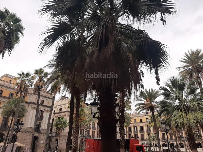 Foto 1545a672-cf79-4506-9cca-b1a6736e7aee. Trapasso locale commerciale con riscaldamento in Raval Barcelona