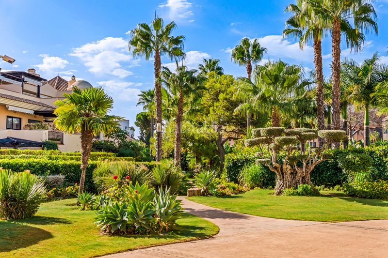 Foto d6aa5366-8e40-498e-8c8c-ba26068ed2c6. Planta baixa amb aparcament piscina a Puerto Banús Marbella