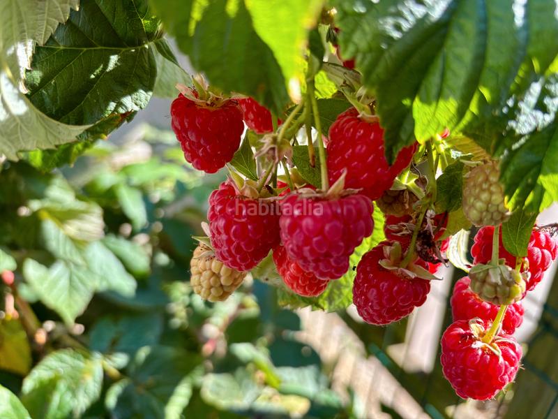 Foto 4e1554c3-63b9-433a-82e5-36d7cf1650ed. Chalet in camiño do casal 2 in Carral