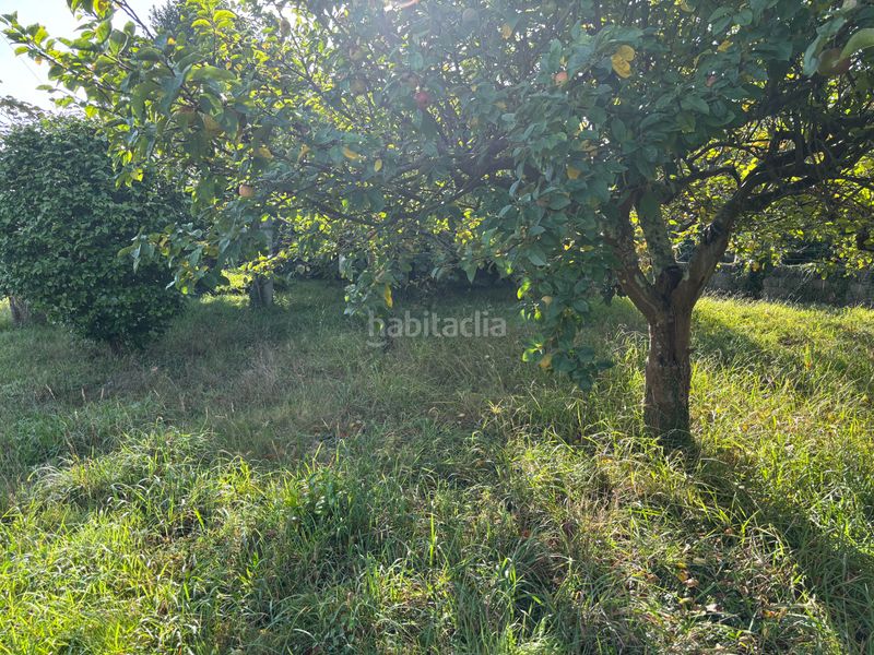Foto 7cce7f74-0f45-4d7e-a320-fe3918a670e2. Finca rústica a Cambre