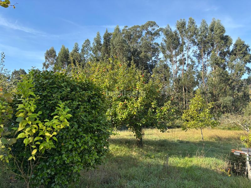 Foto ec86ea10-fadf-4f03-98a0-199c1a00f67e. Finca rústica a Cambre
