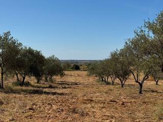 Wohngrundstück in Palma del Condado (La)