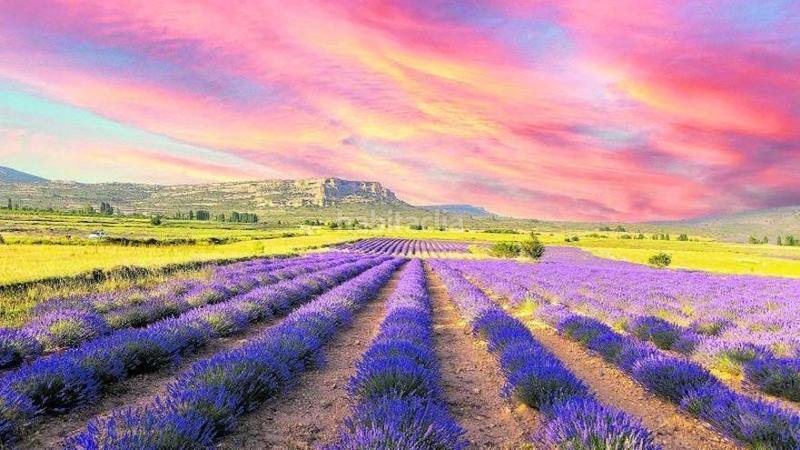 Foto b5baeb29-620f-4110-87cb-68753c295ae1. Xalet amb aparcament piscina a Balsicas Torre - Pacheco