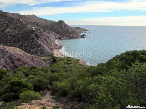 Foto 53b0572a-7513-4f0d-a27a-76262b91d7a1. Casa amb piscina a Roldán Torre - Pacheco