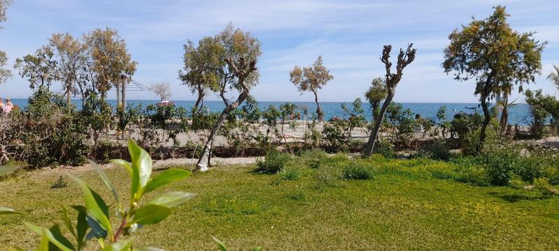 Foto 7d3735f2-68ce-40a5-9694-ba0013b9080f. Pis a Vera playa naturista Vera