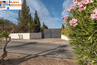 Terreno residencial  Avenida de los alamos. ¡magnifica parcela urbana de 2500 m2 en la urbanización los cort