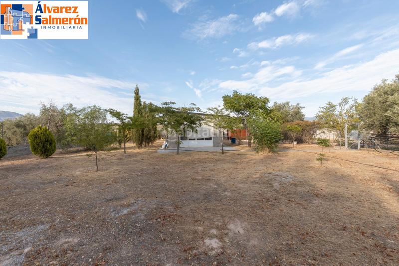 Foto ce2bd954-191c-458e-87b6-f95d0898fe2b. Terreno residencial ¡magnifica parcela urbana de 2500 m2 en la urbanización los cortijos... pantano de cubillas! en Atarfe