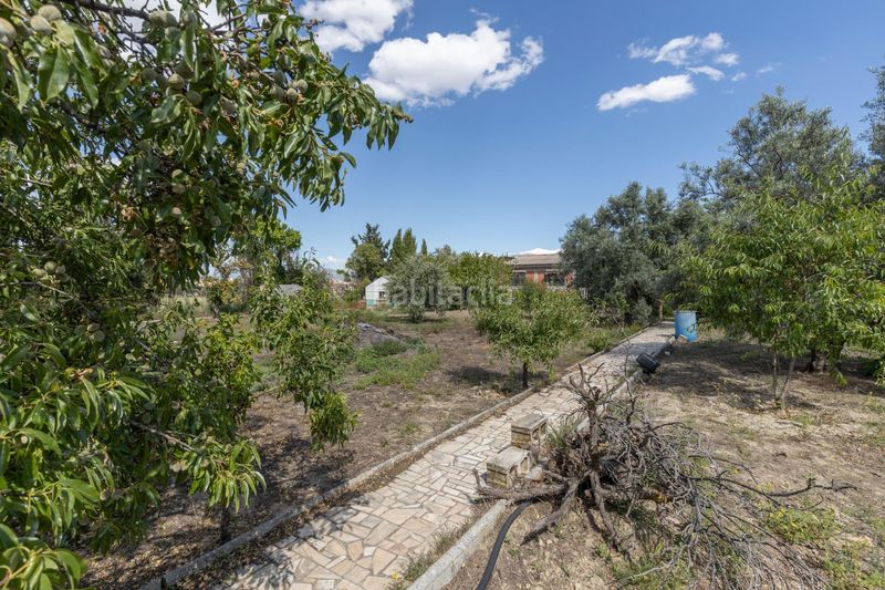 Foto ad282706-14d9-4a7c-b886-322567edca57. Masia amb aparcament piscina a Ayuntamiento Alhendín