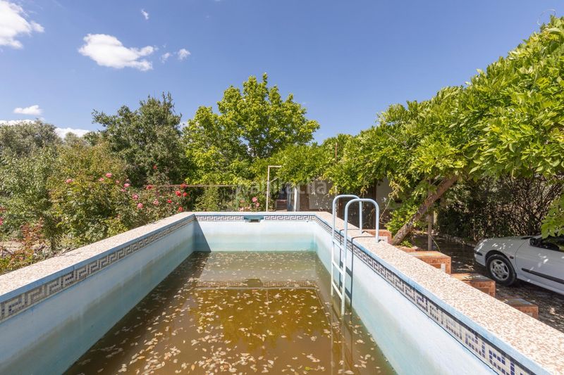 Foto ec6cbc71-e33a-43be-a968-15f8385e0950. Masia amb aparcament piscina a Ayuntamiento Alhendín