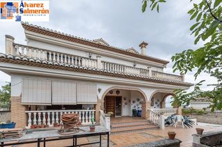 Chalet  Calle camelia. Chalet independiente con 2.000 m2 de parcela y gran potencial en