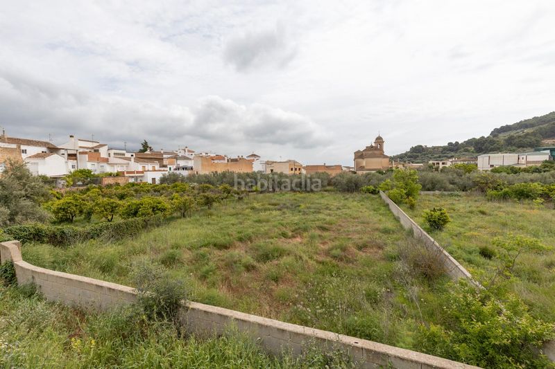 Foto 4c6ae690-84d1-48ea-a7bb-3eff4a048ead. Terreny residencial a Pinar (El)