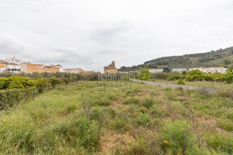 Foto 9cc3f74f-a9cb-47eb-bc61-c94a08fc99a0. Terreny residencial a Pinar (El)