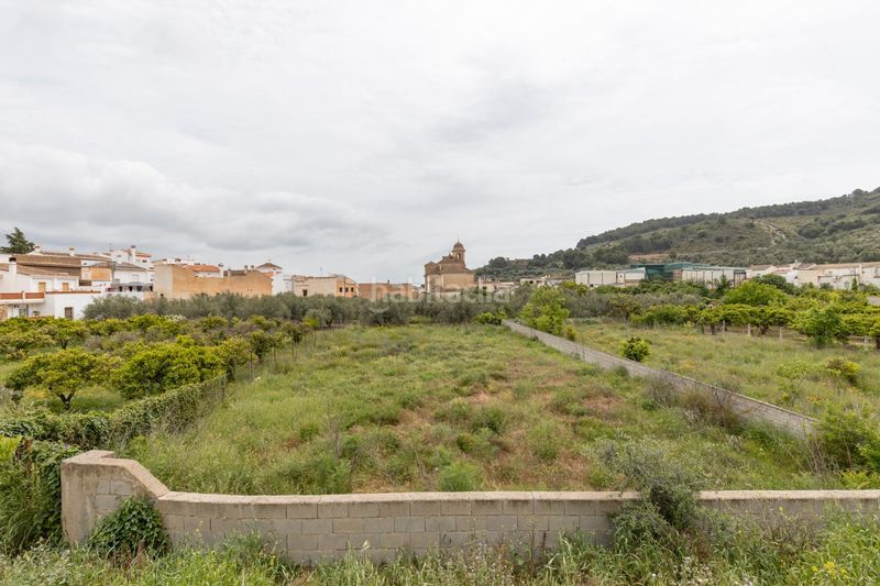 Foto bcf0d294-85bb-45cd-bfc0-71662b177953. Terreny residencial a Pinar (El)