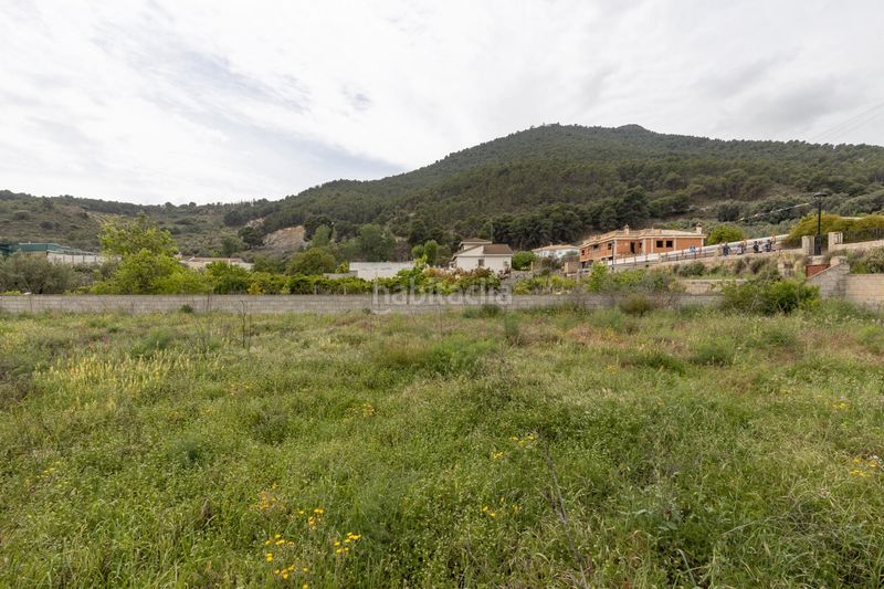 Foto ca7c36ab-c368-4f4a-88db-d0a3ffe6bf52. Terreny residencial a Pinar (El)