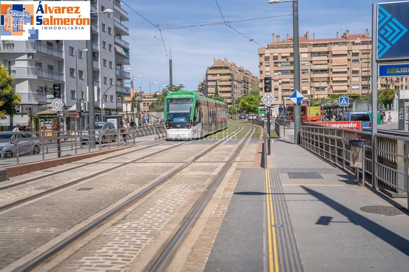 Foto c622cf1f-3bab-4196-9c24-58c2fa6c27ca. Àtic a Pajaritos Granada