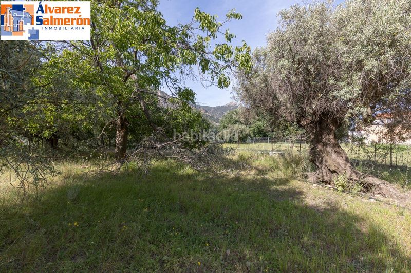 Foto 03d56eb1-afd7-4cdd-b47c-13ca6fa368cb. Terreny residencial a Güéjar Sierra