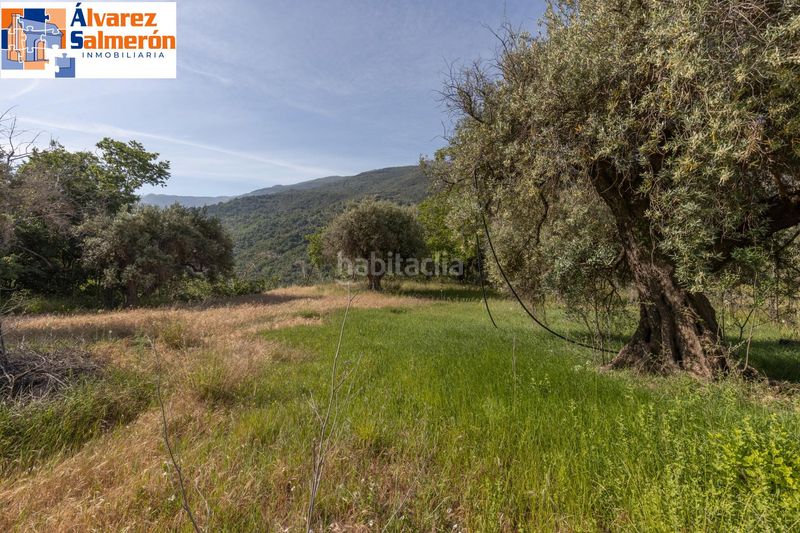 Foto 0a7e60d2-0d99-4b29-a2fd-bdba5d91d88a. Terreny residencial a Güéjar Sierra