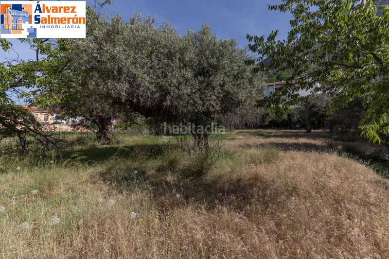 Foto 1289c6c7-f5fb-4d05-8250-58ac896dd06b. Terreny residencial a Güéjar Sierra