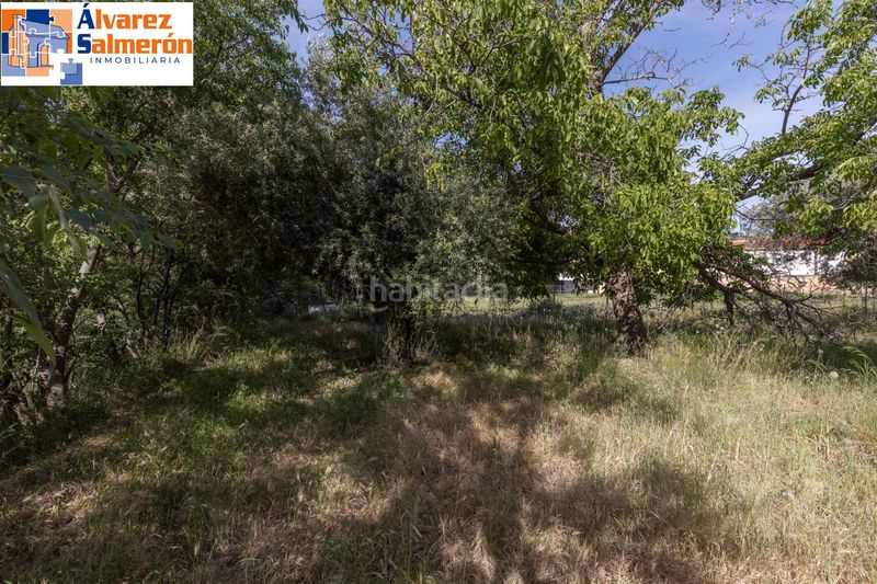 Foto 30454f9e-4105-4d5d-8539-fe8d31050795. Terreny residencial a Güéjar Sierra
