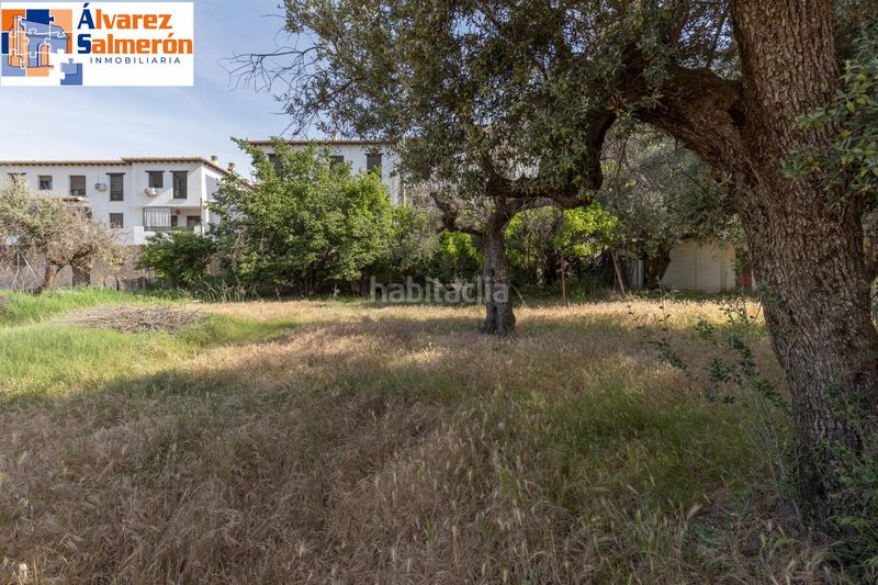 Foto 7be9d089-4aaa-48f6-934b-f375dffb8e0f. Terreny residencial a Güéjar Sierra