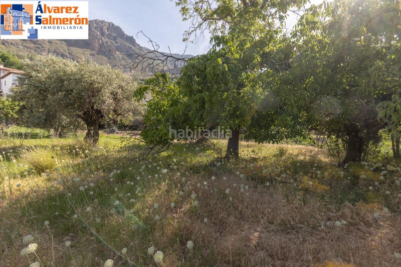 Foto 986e0745-7212-46e0-9c6a-c1d9fa0d2e58. Terreny residencial a Güéjar Sierra